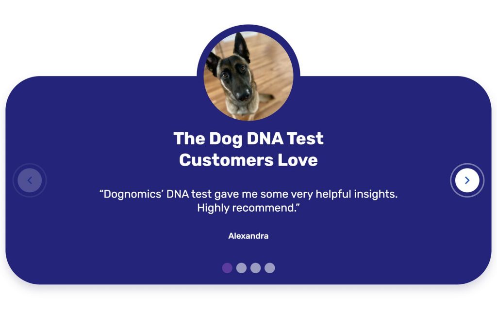 best ecommerce websites dognomics social proof
